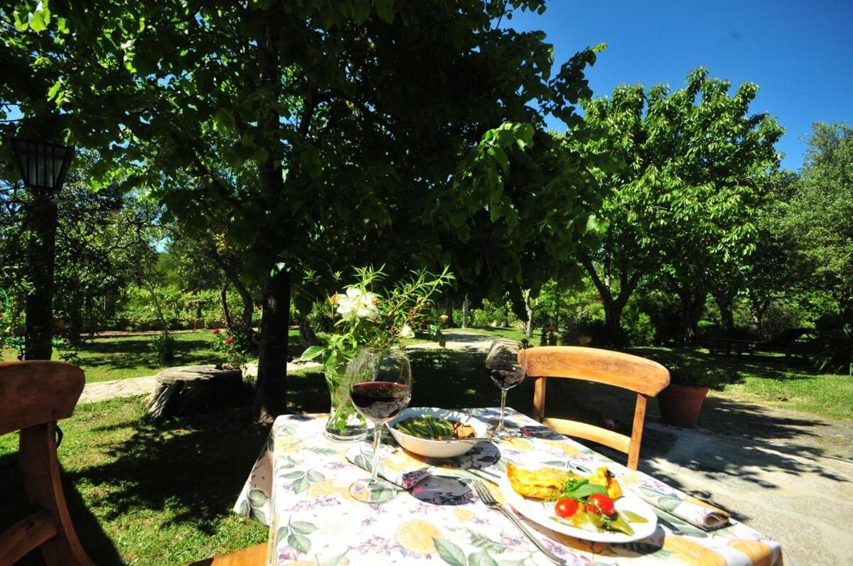 빌라노바 데 세르베이라 Casas De Santiago 빌라 외부 사진