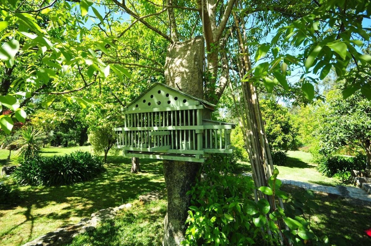 빌라노바 데 세르베이라 Casas De Santiago 빌라 외부 사진